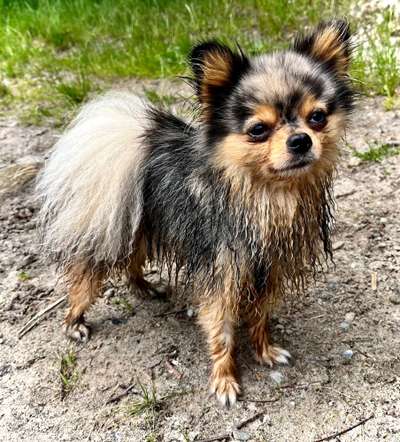 Foto Challenge Nr.133-Beitrag-Bild