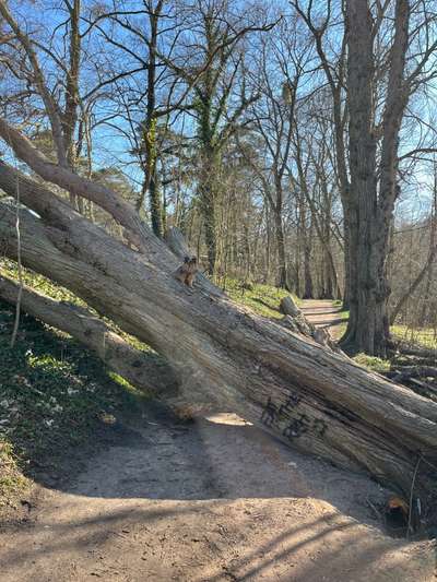 57. Handy Foto Challenge - klettern-Beitrag-Bild