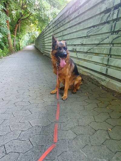 Handyfoto challenge Nr. 13: Waschlappen raus!-Beitrag-Bild