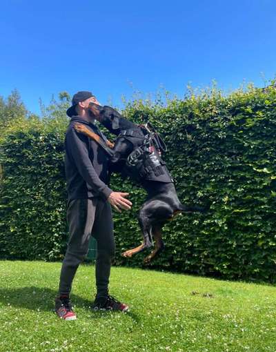 Wie sitzt mein Geschirr?-Beitrag-Bild