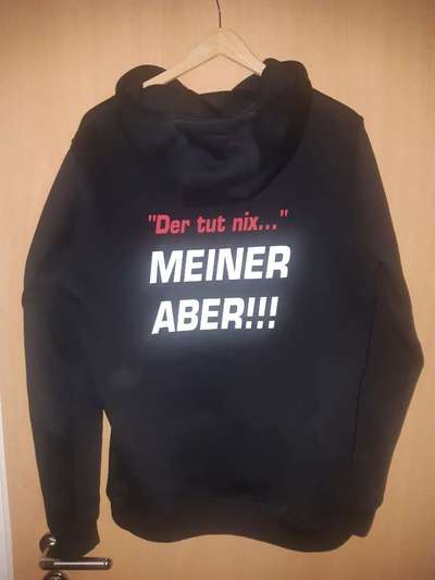 Herr/Frau Mustermann auf der Hunde wiese-Beitrag-Bild