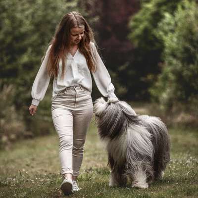 Hundetreffen-Leinenspaziergang/ Trainingsspaziergang-Bild