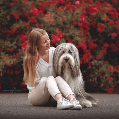 Hundetreffen-Social Walk/ Training-Profilbild