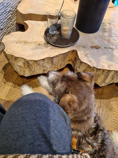 Was hat euch heute gefreut?-Beitrag-Bild