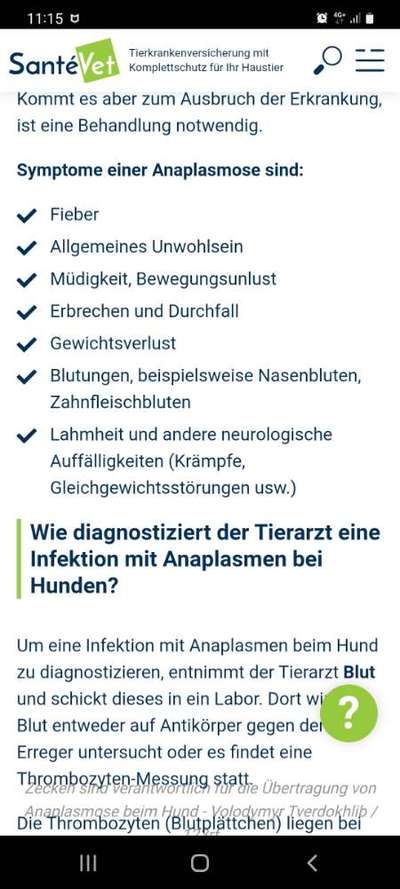 Borreliose und Anaplasmose-Beitrag-Bild