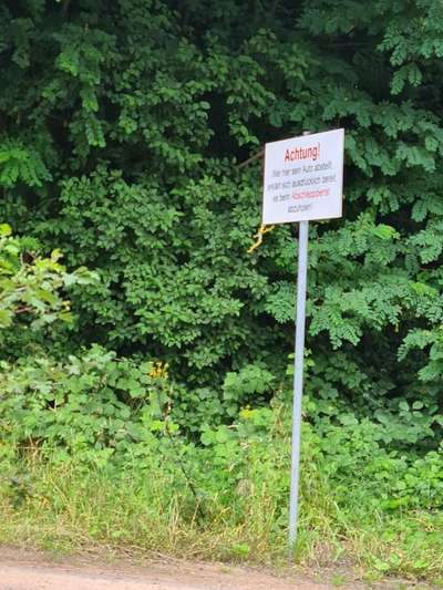 Hundeauslaufgebiet-Hundestrand am Silbersee Niedernberg-Bild