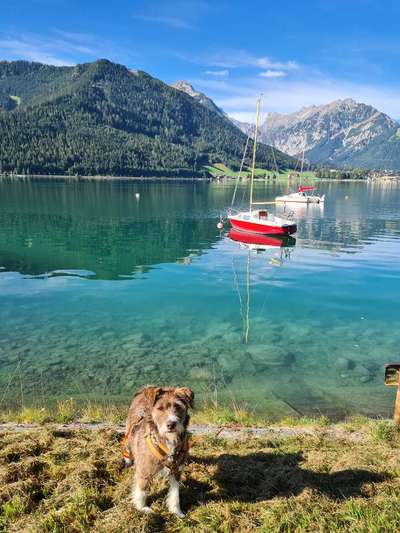 Zillertal-Beitrag-Bild