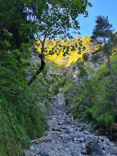 Zillertal-Beitrag-Bild