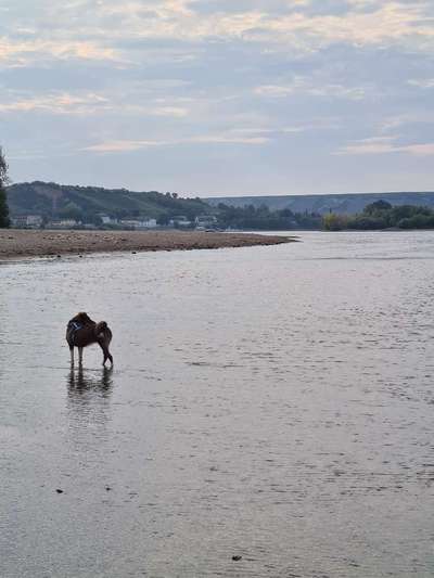 Eure schönsten Fotos mit Wasser-Beitrag-Bild