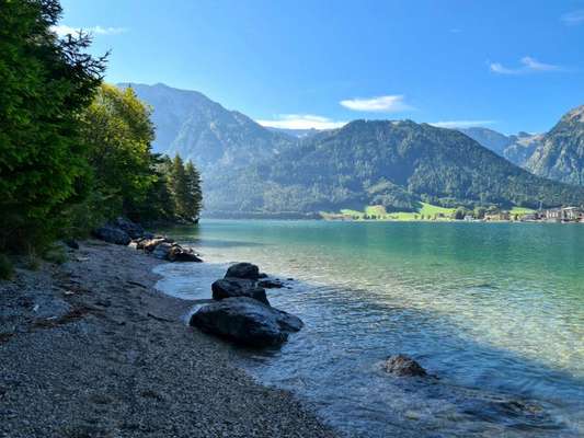 Hundehotel-Beitrag-Bild