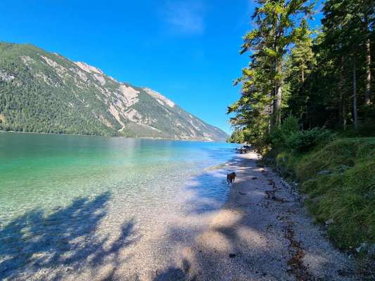 Hundehotel-Beitrag-Bild