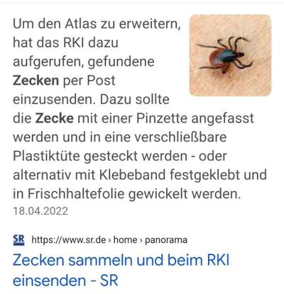 Wer kennt dieses Tier?-Beitrag-Bild