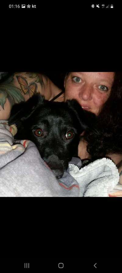 lieblingsbild mit Euren Fellnasen 🤗-Beitrag-Bild