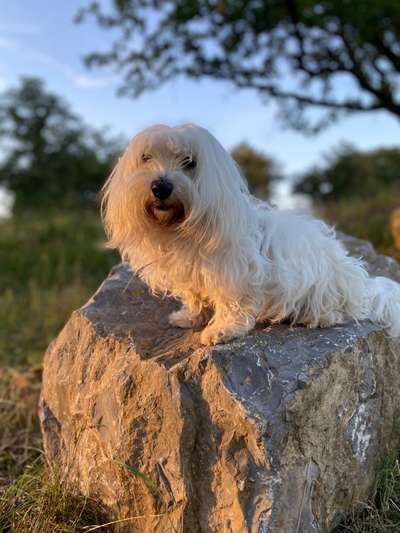 Fotochallange Nr. 57     PORTRÄT.   Beendet!!!!!!!!-Beitrag-Bild