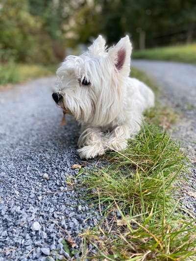 Fotochallange Nr. 57     PORTRÄT.   Beendet!!!!!!!!-Beitrag-Bild