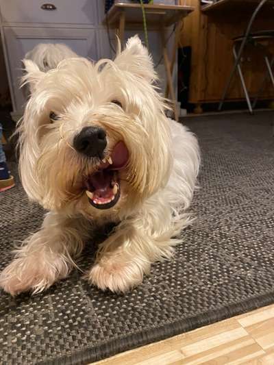 Her mit dem Grimassen-Beitrag-Bild