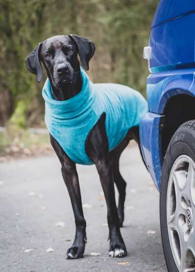 Pullis, Jacken, Hütte und alles sonstiges-Beitrag-Bild