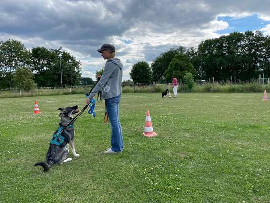 Freundschaftsanfragen-Beitrag-Bild