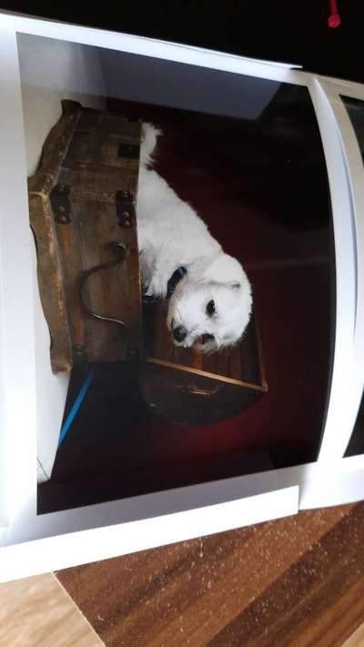 Zeigt eure Portraits-Beitrag-Bild