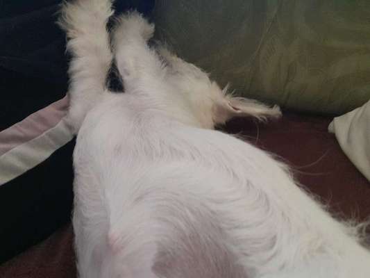 Verrückte Schlafpositionen-Beitrag-Bild