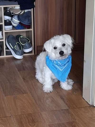 Handyfoto challenge Nr. 13: Waschlappen raus!-Beitrag-Bild