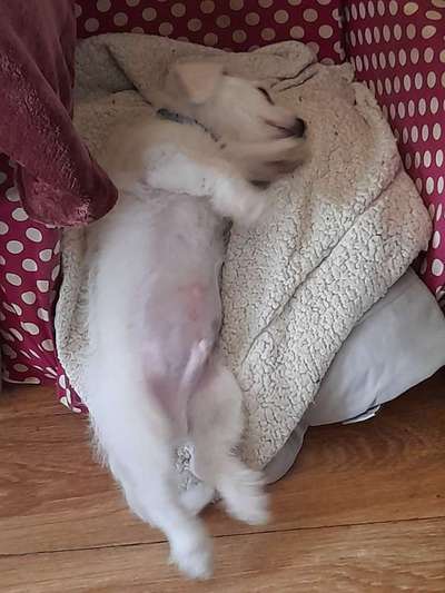 Sie werden so schnell erwachsen ...-Beitrag-Bild