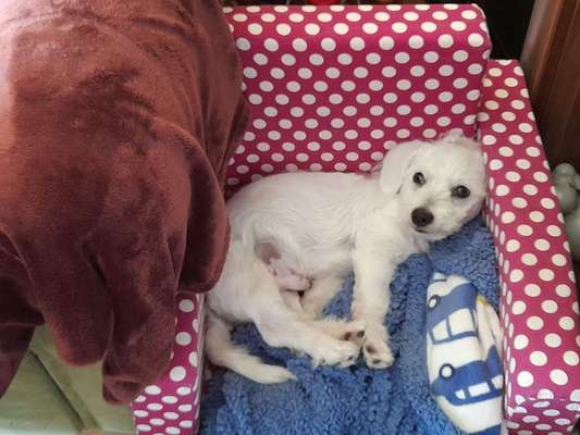 Sie werden so schnell erwachsen ...-Beitrag-Bild