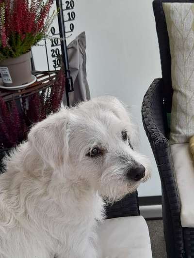 Doppelgänger gesucht !-Beitrag-Bild