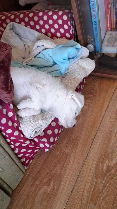 Verrückte Schlafpositionen-Beitrag-Bild