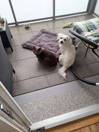 Doppelgänger gesucht !-Beitrag-Bild