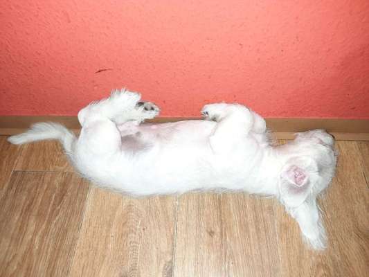 Sie werden so schnell erwachsen ...-Beitrag-Bild