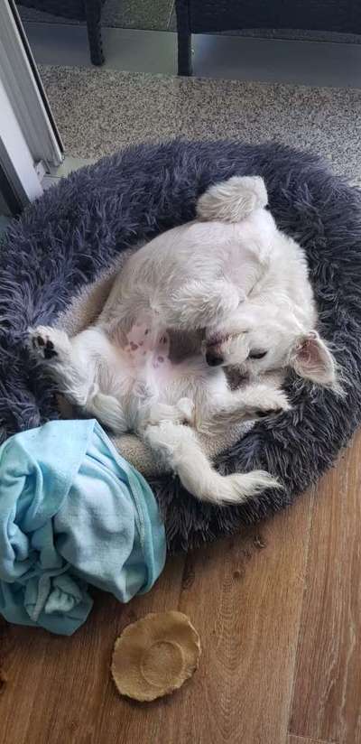 Verrückte Schlafpositionen-Beitrag-Bild