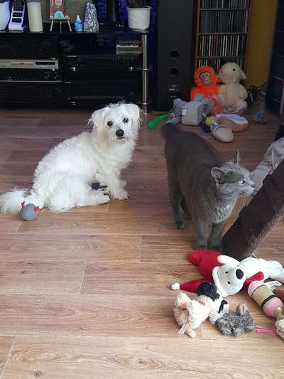 Doppelgänger gesucht !-Beitrag-Bild