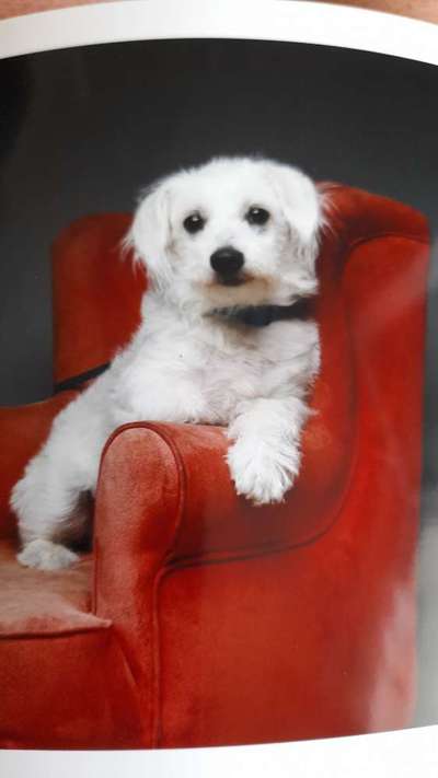 Zeigt eure Portraits-Beitrag-Bild