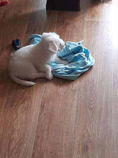 Sie werden so schnell erwachsen ...-Beitrag-Bild