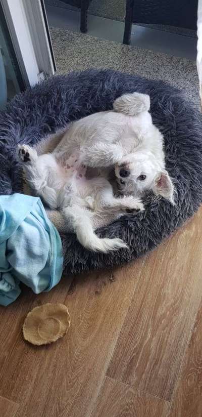 Lieblingsbild-Beitrag-Bild