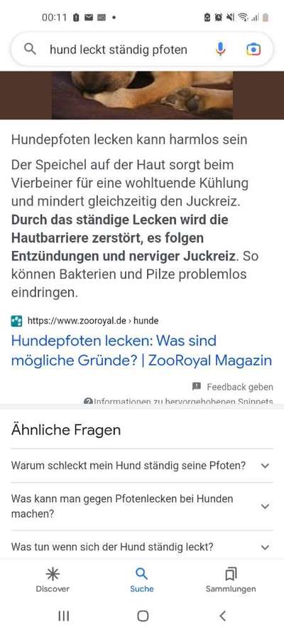 Verzweifelt-Beitrag-Bild