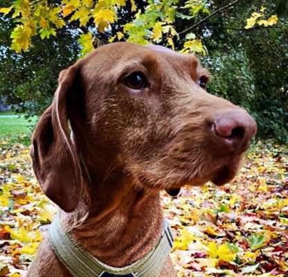 Fotochallange Nr. 57     PORTRÄT.   Beendet!!!!!!!!-Beitrag-Bild