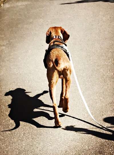 Fotochallange Nr. 46

Schattenspiele BEENDET!!!!!-Beitrag-Bild