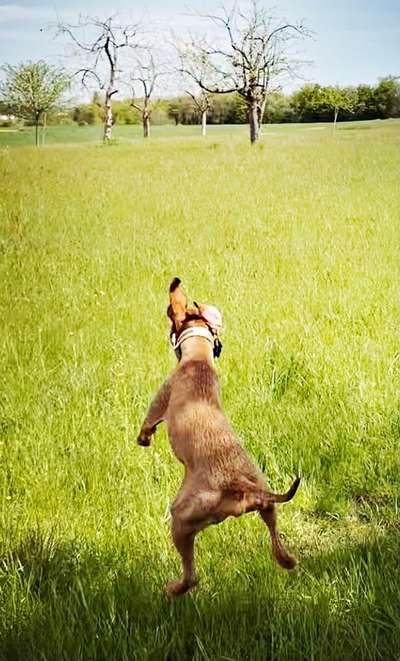 Fotochallenge Nr. 52 „Spring!“-Beitrag-Bild