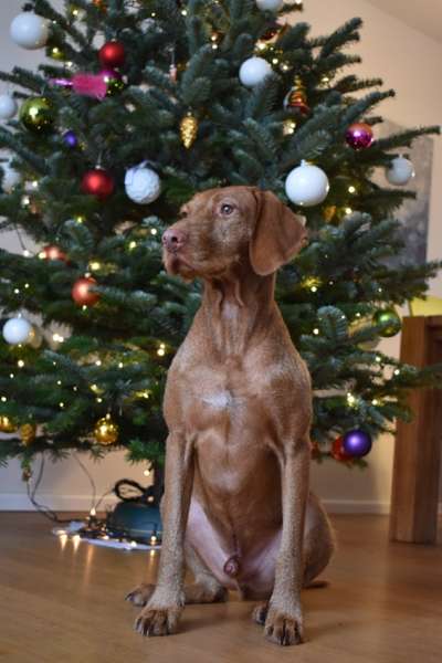 Handy-Foto-Challange Nr.9-Beitrag-Bild