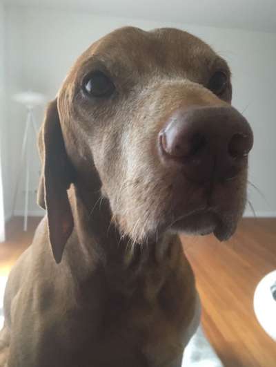 Fotochallange Nr. 57     PORTRÄT.   Beendet!!!!!!!!-Beitrag-Bild