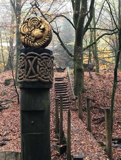 Die wunderschöne Welt mit Hund.-Beitrag-Bild