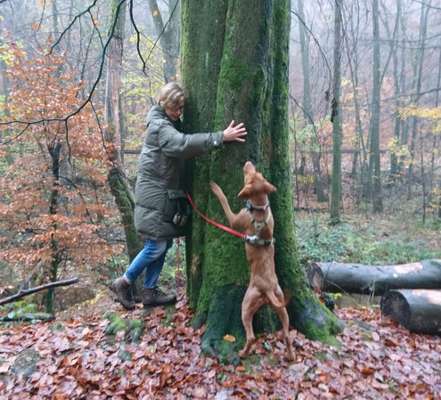 Die wunderschöne Welt mit Hund.-Beitrag-Bild