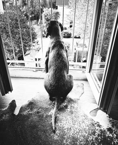 Foto-Challenge 76: Foto in Schwarz-Weiss-Beitrag-Bild