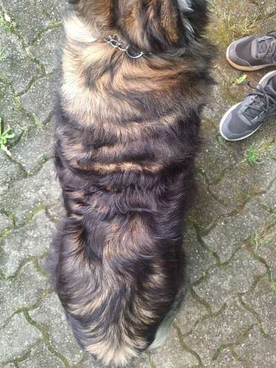 Gangbild/-analyse-Beitrag-Bild