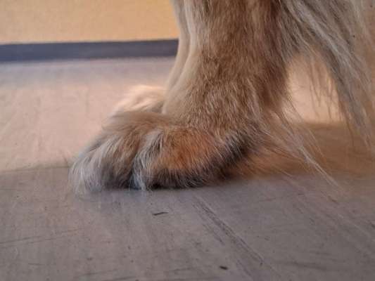 Gangbild/-analyse-Beitrag-Bild