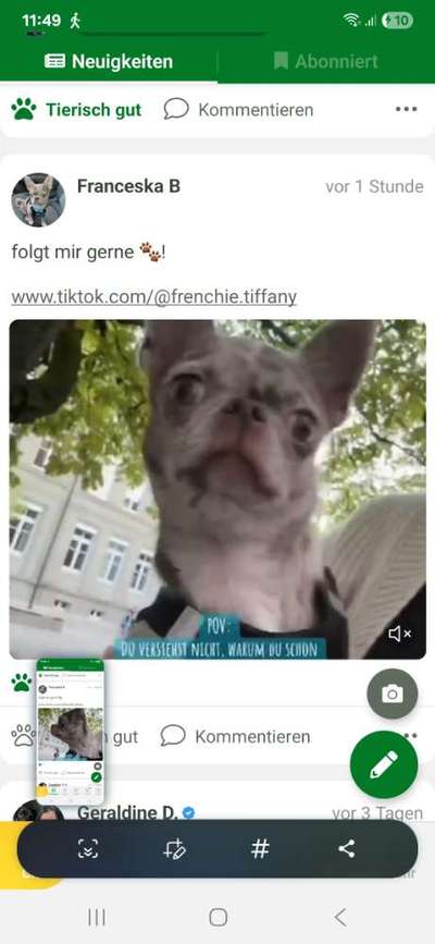 Qualzucht - Warum Aufklärung alleine nicht reicht-Beitrag-Bild