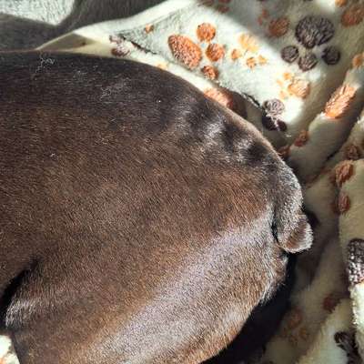 Gangbild/-analyse-Beitrag-Bild