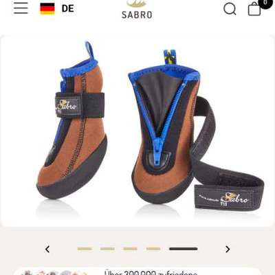 Athrose Hund vorderbein-Beitrag-Bild